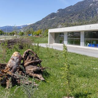 2026 Biodiversitätsprojekt in Domat/Ems - Mit Erich Kohler